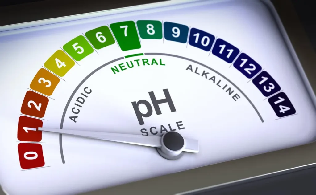 body ph balance