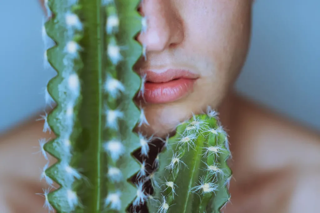 bouche aphte plantes