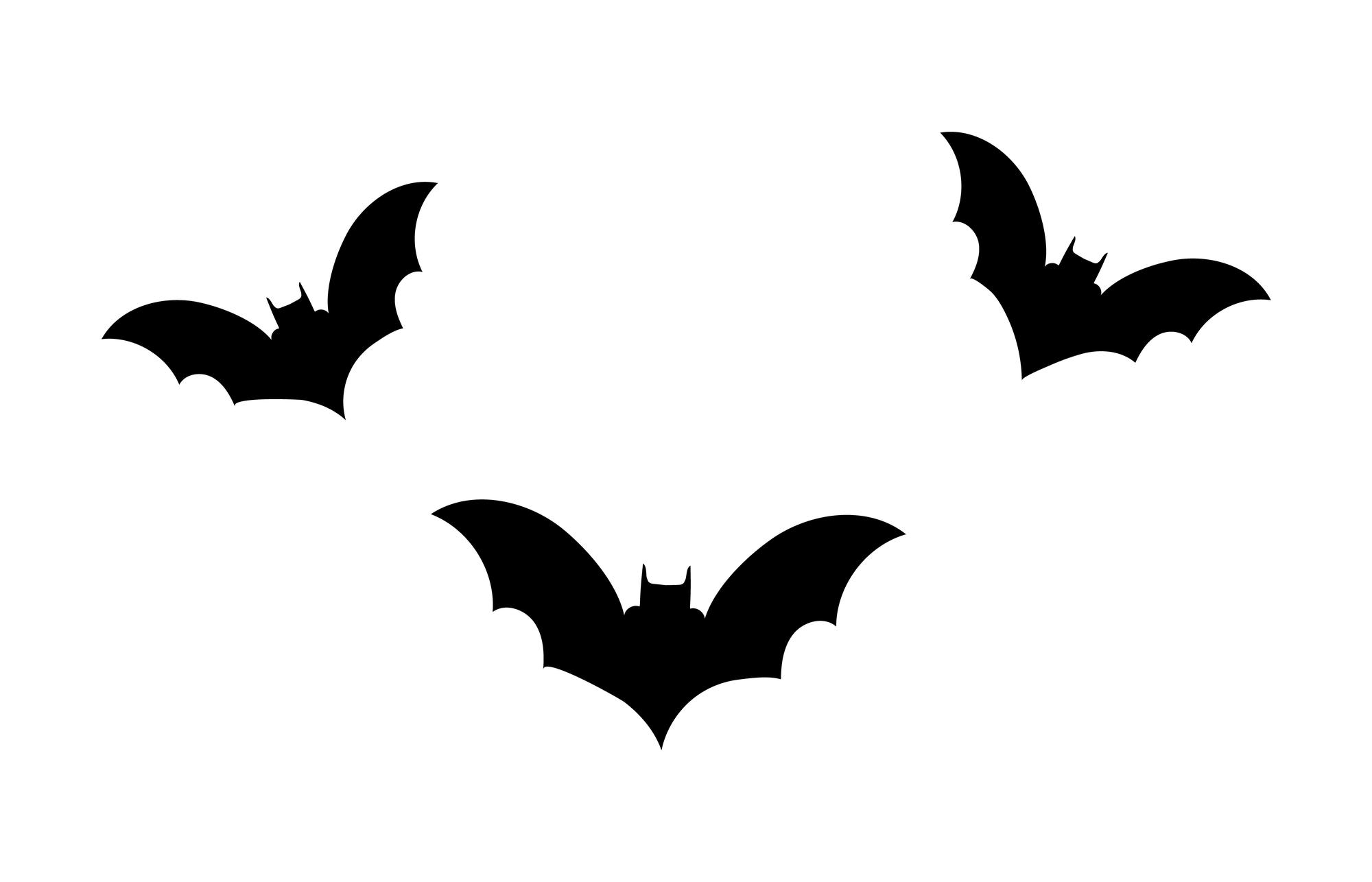 Pourquoi la chauve-souris fait-elle si peur dans notre culture ?