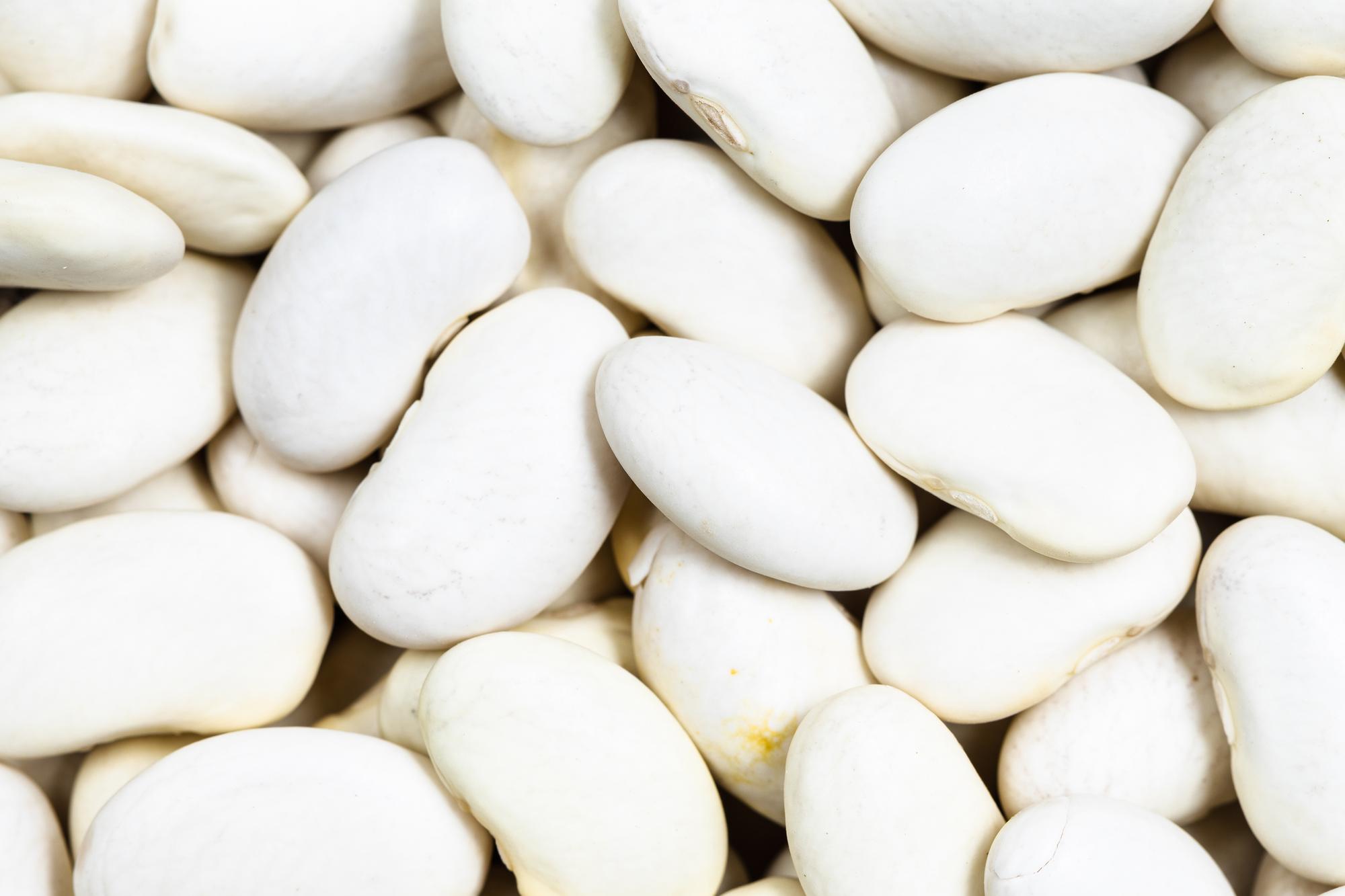 Les haricots blancs, c’est quoi exactement ?