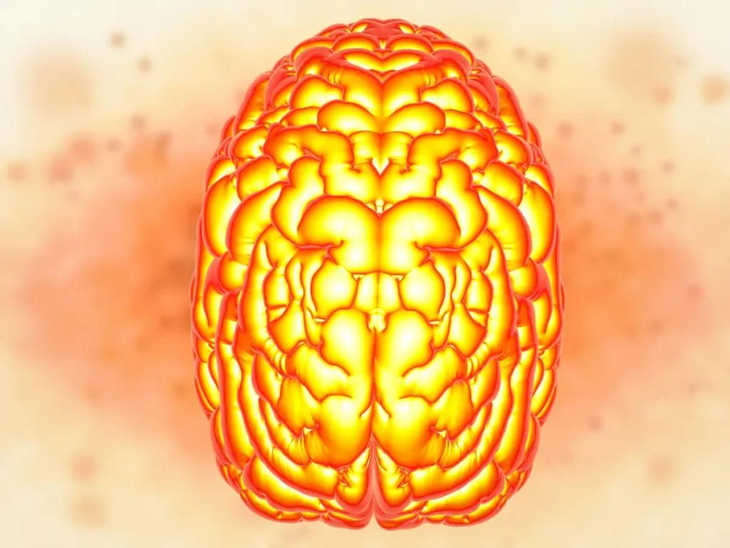 cerveau hémisphères