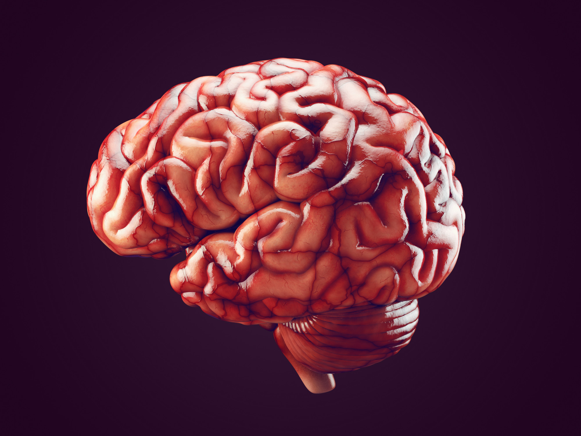 Le cerveau droit dominant existe-t-il vraiment ?