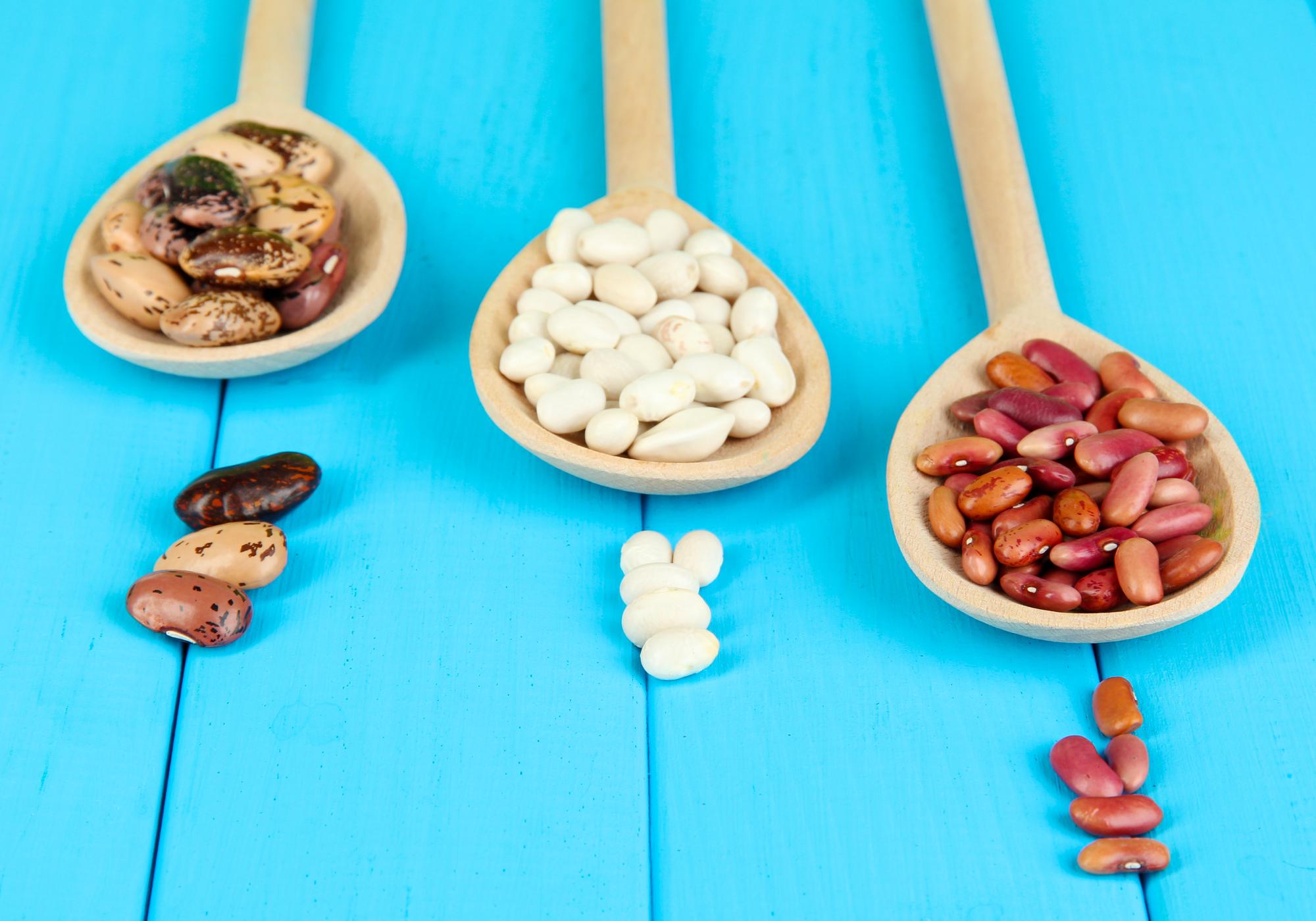 Haricots blancs et constipation : utiles ou irritants ?